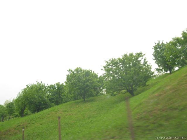 vai alla gallery: Asolo Festival città Impresa 2011